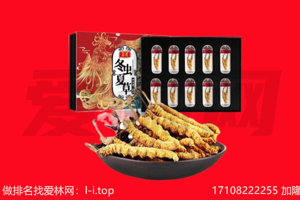 南充营山县回收虫草.jpg